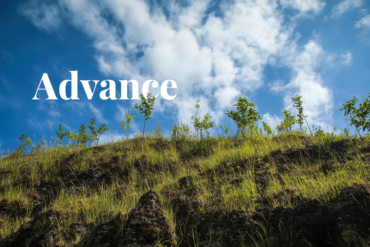 World Bank highlights carbon market growth in new State and Trends of